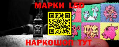 СК Дубна